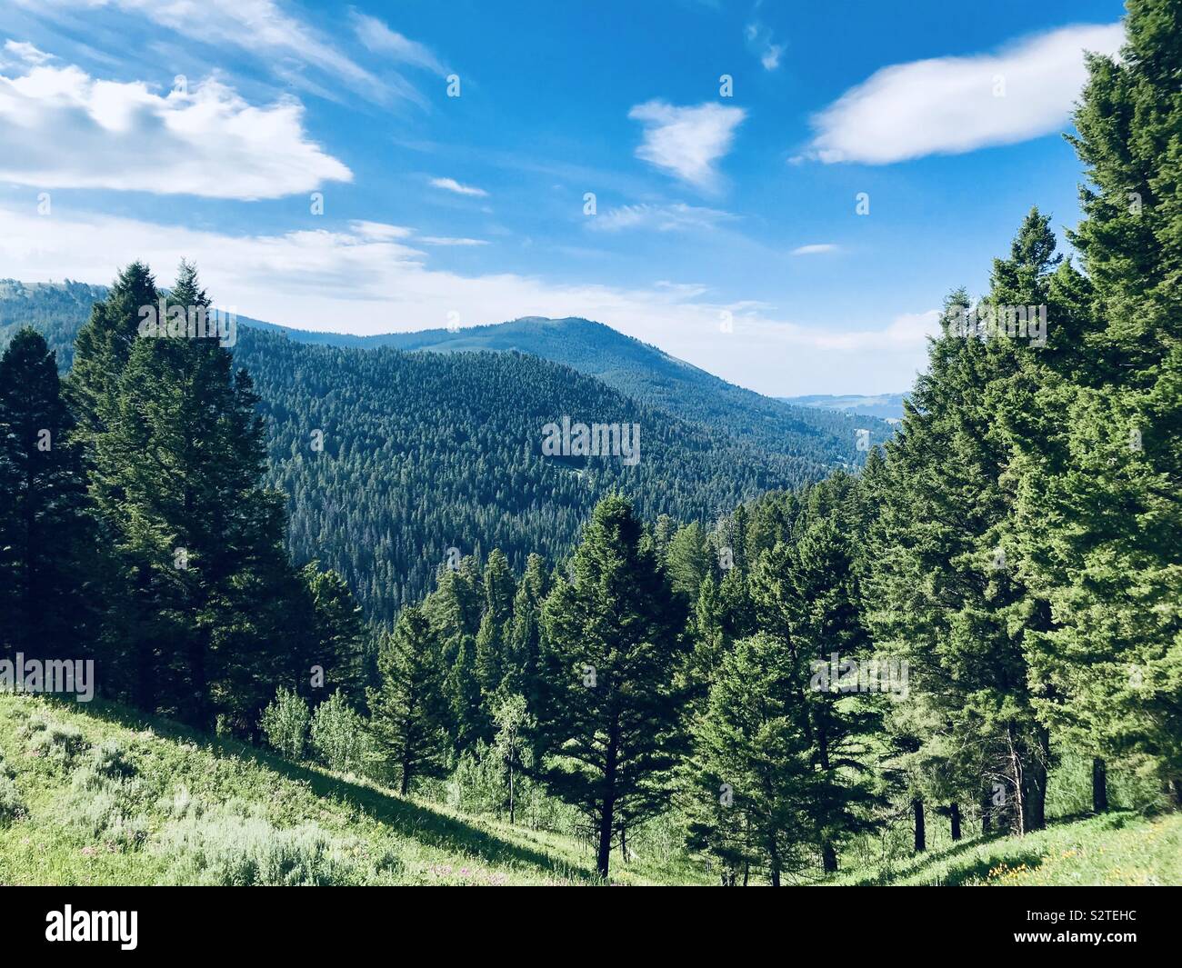 Vista montana nei pressi di Yellowstone Foto Stock