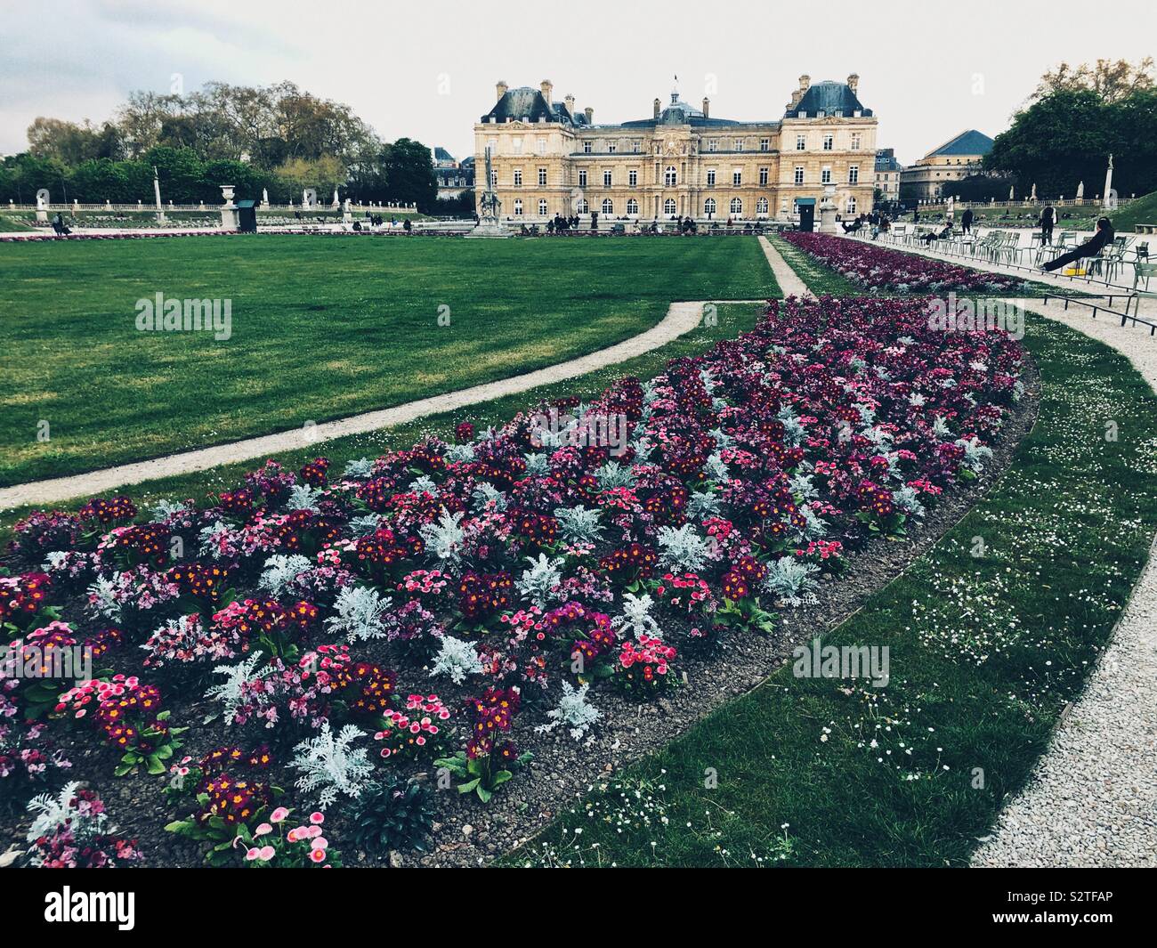 Appena piantato fiori di confine nella parte anteriore del Palazzo del Lussemburgo nel Quartiere Latino di Parigi - Immagine stock catturata con smartphone