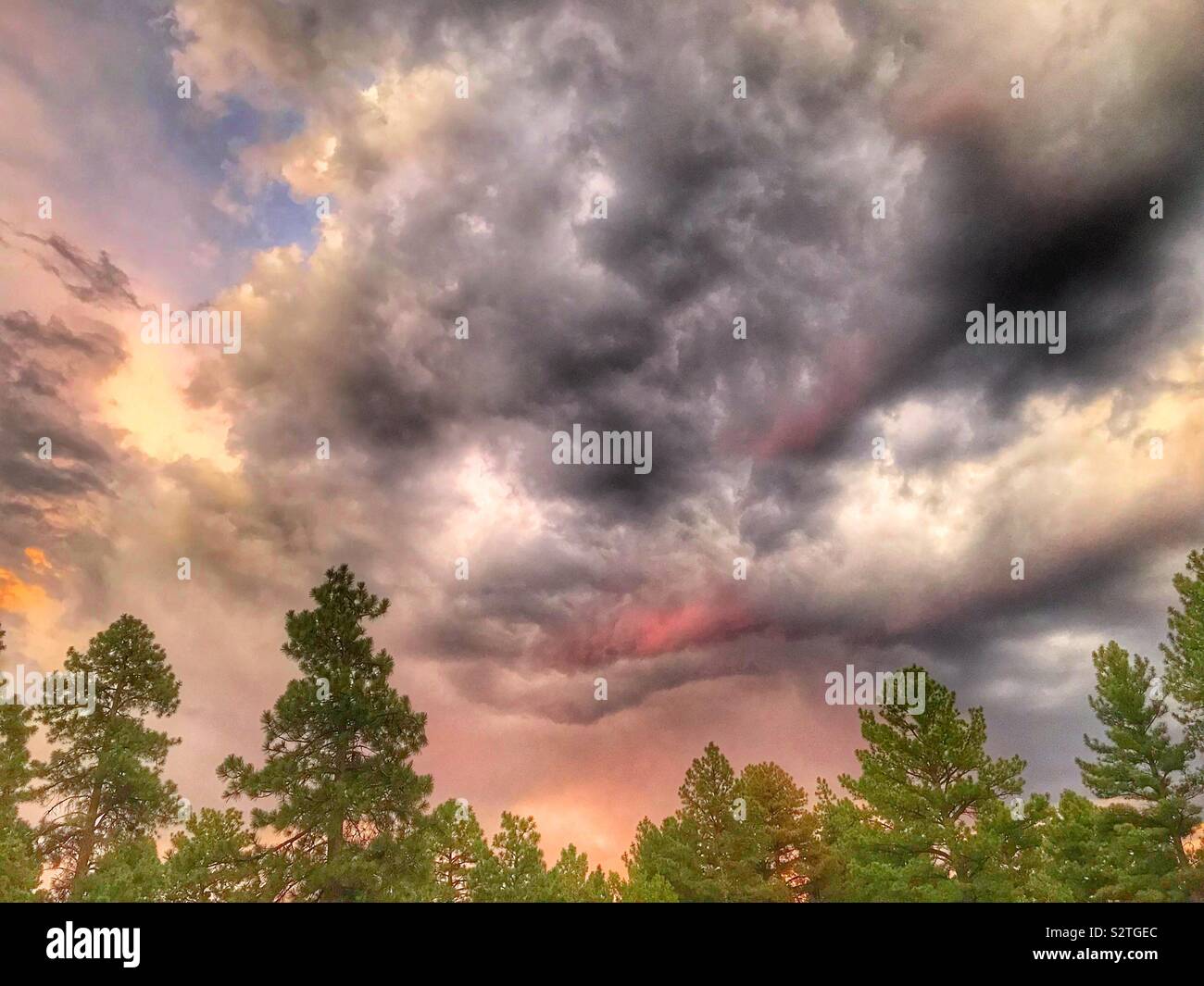 Temporale estivo al tramonto. Apache sitgreaves National Forest. Foto Stock