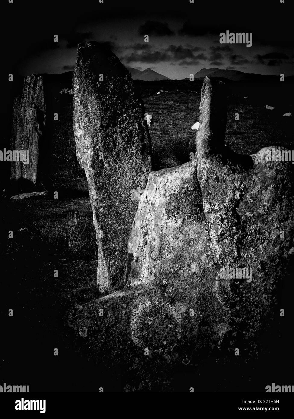 Immagine in bianco e nero di Callanish III (Cnoc Fillibhir Bheag) pietre permanente stone circle, isola di Lewis, Ebridi Esterne, Scozia Foto Stock