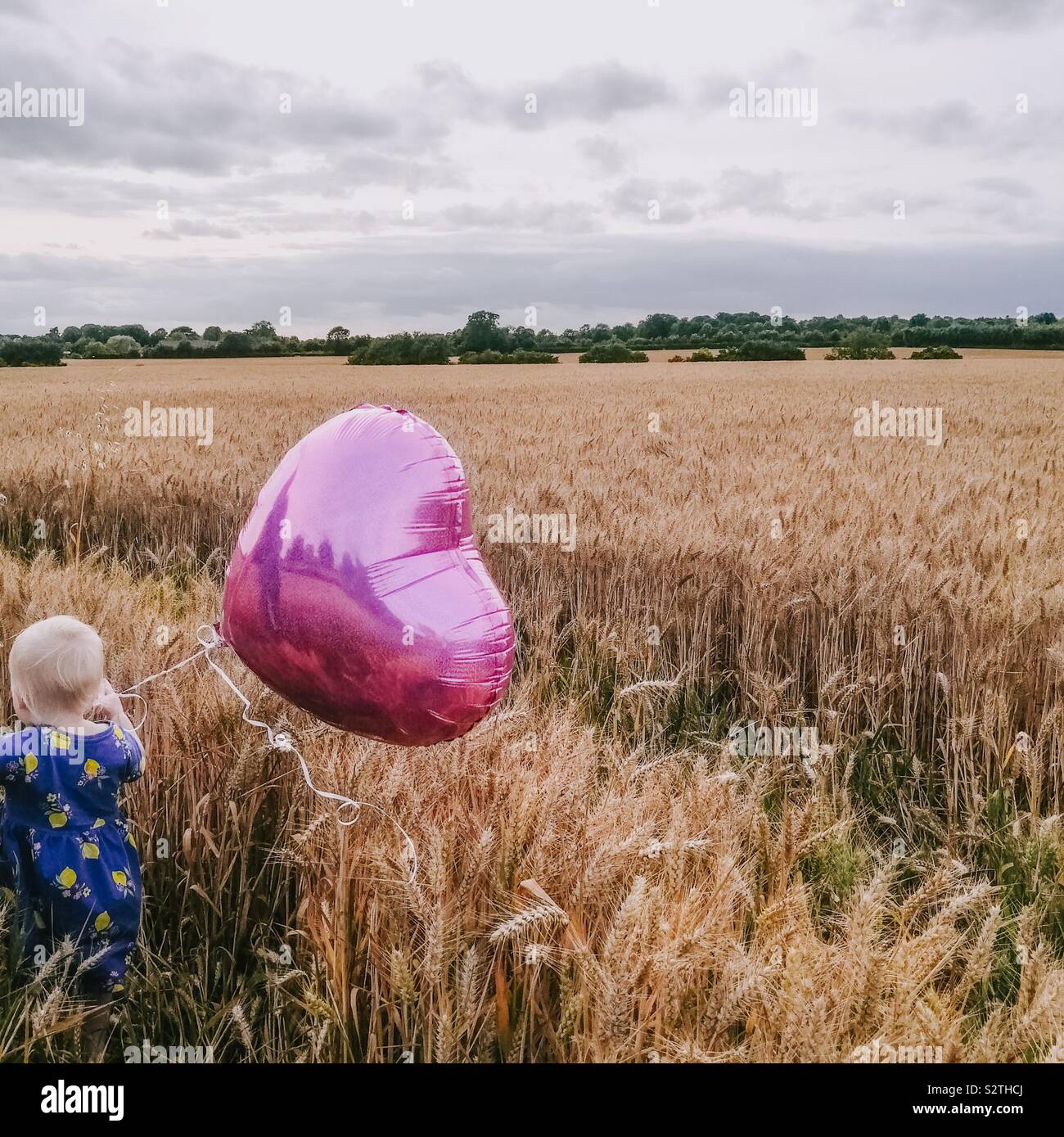 Bambina in esecuzione in un campo di grano con un cuore rosa palloncino Foto Stock