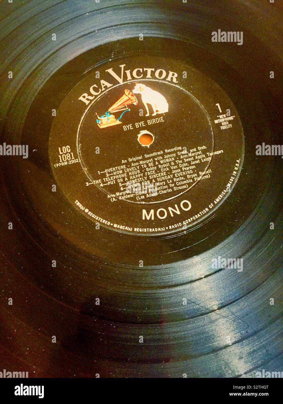 Vintage Mono lungo riproduzione record del musical di Broadway bye-bye Birdie, sessanta, STATI UNITI D'AMERICA Foto Stock