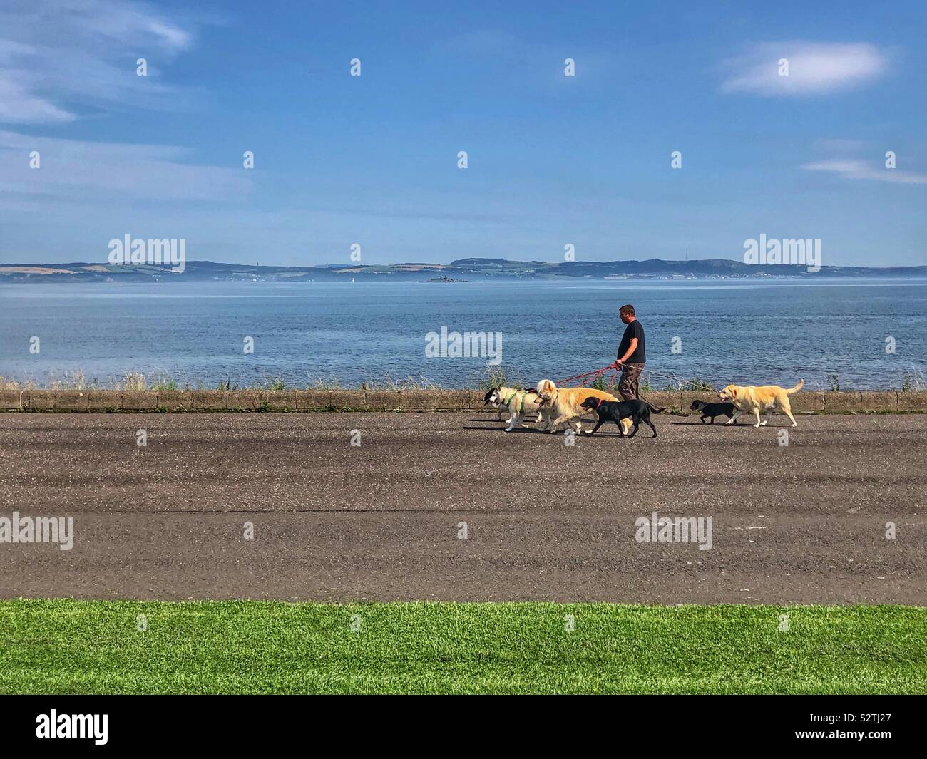 Cani da passeggio sul lungomare di Cramond, Edimburgo - Immagine stock catturata con smartphone