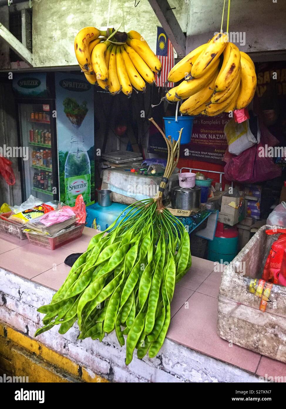 Parkia speciosa, conosciuto localmente come buah una petai, raccolti dalla giungla da gli indigeni orang asli ("popolo nativo'), in vendita presso una strada nei pressi di stallo Lata Iskandar, Cameron Highlands, Malaysia Foto Stock