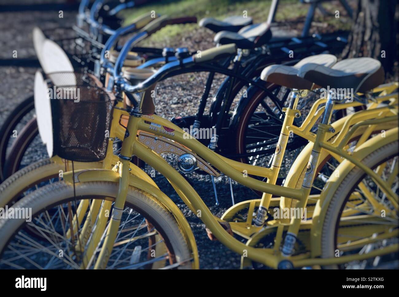 Il giallo e il nero vintage bikes allineate in una fila Foto Stock