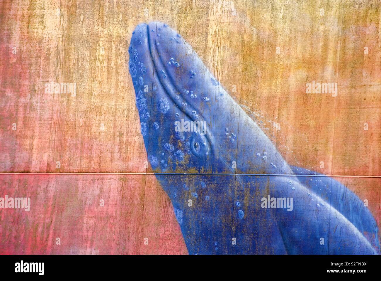 Murale di balena in Newport Oregon Foto Stock
