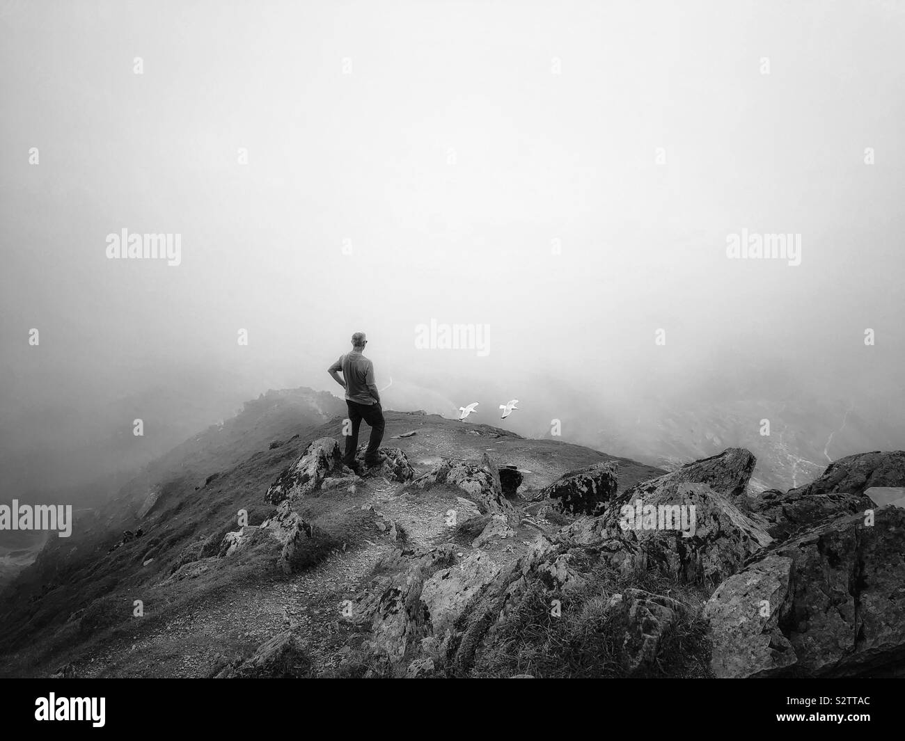 Uomo di mezza età che contempla la vista attraverso nuvole basse dal Monte Snowdon, Eryri. Foto Stock