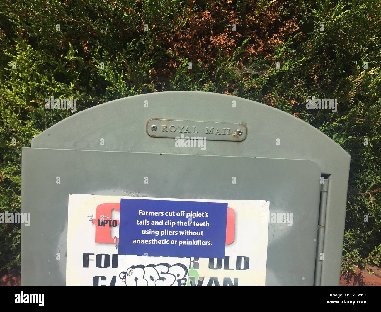 Stern messaggio vegan - Immagine stock catturata con smartphone