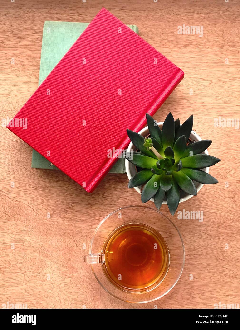 Scatto dall'alto di una scrivania contenente una succulenta, un schizzo rosso libro e una tazza di tè. Foto Stock