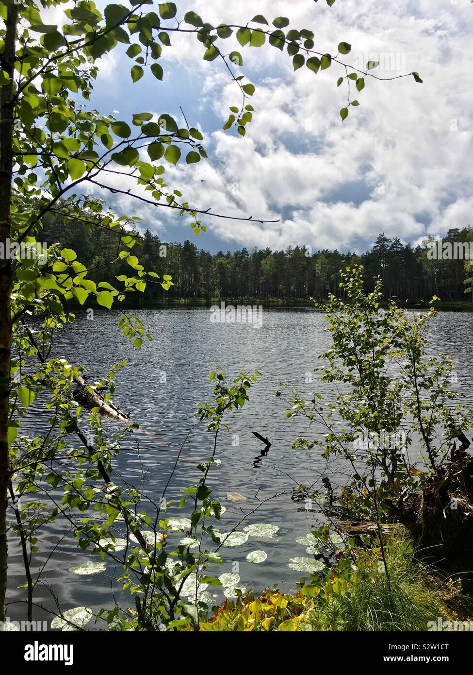 Paunküla - Immagine stock catturata con smartphone