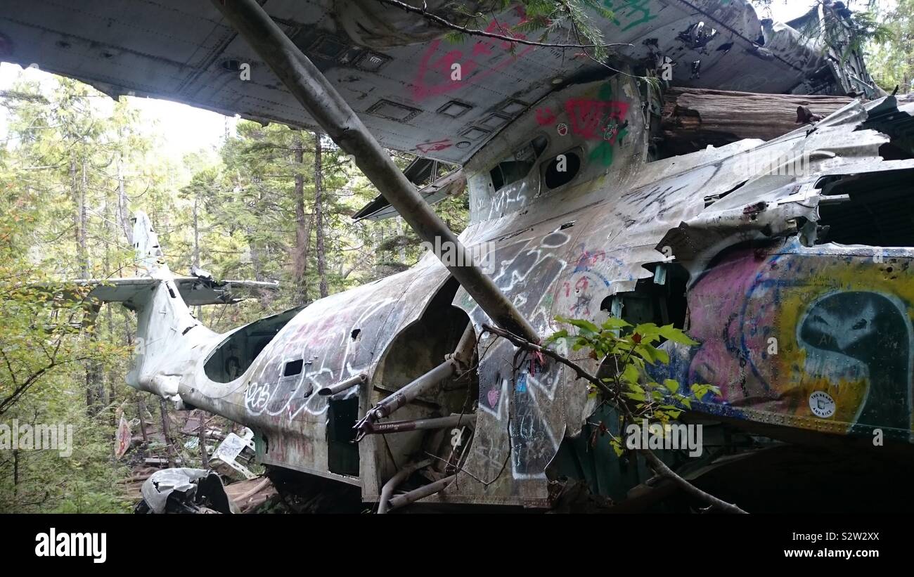 Vecchio crash aereo sul modo di Tofino, British Columbia Foto Stock