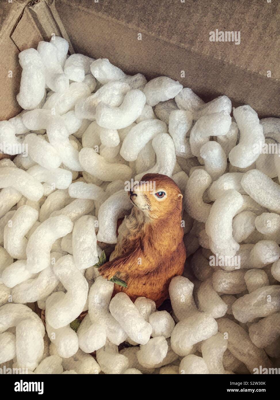 Fragile cane della prateria statuetta in un cartone confezione circondato da noccioline di polistirolo - Immagine stock catturata con smartphone