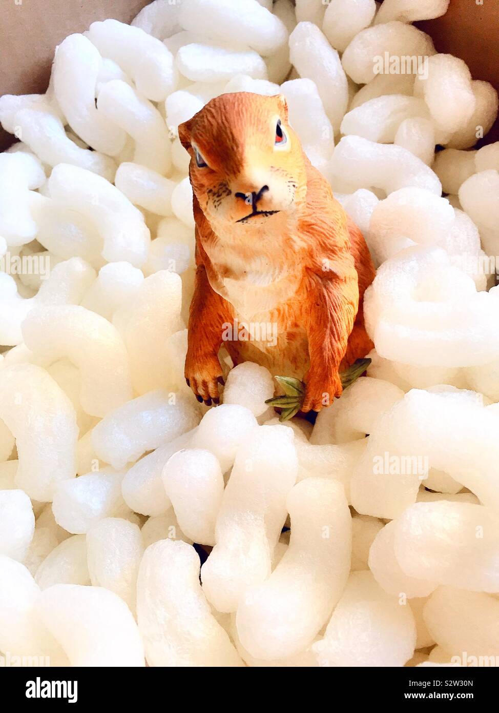 Fragile cane della prateria statuetta in un cartone confezione circondato da noccioline di polistirolo - Immagine stock catturata con smartphone