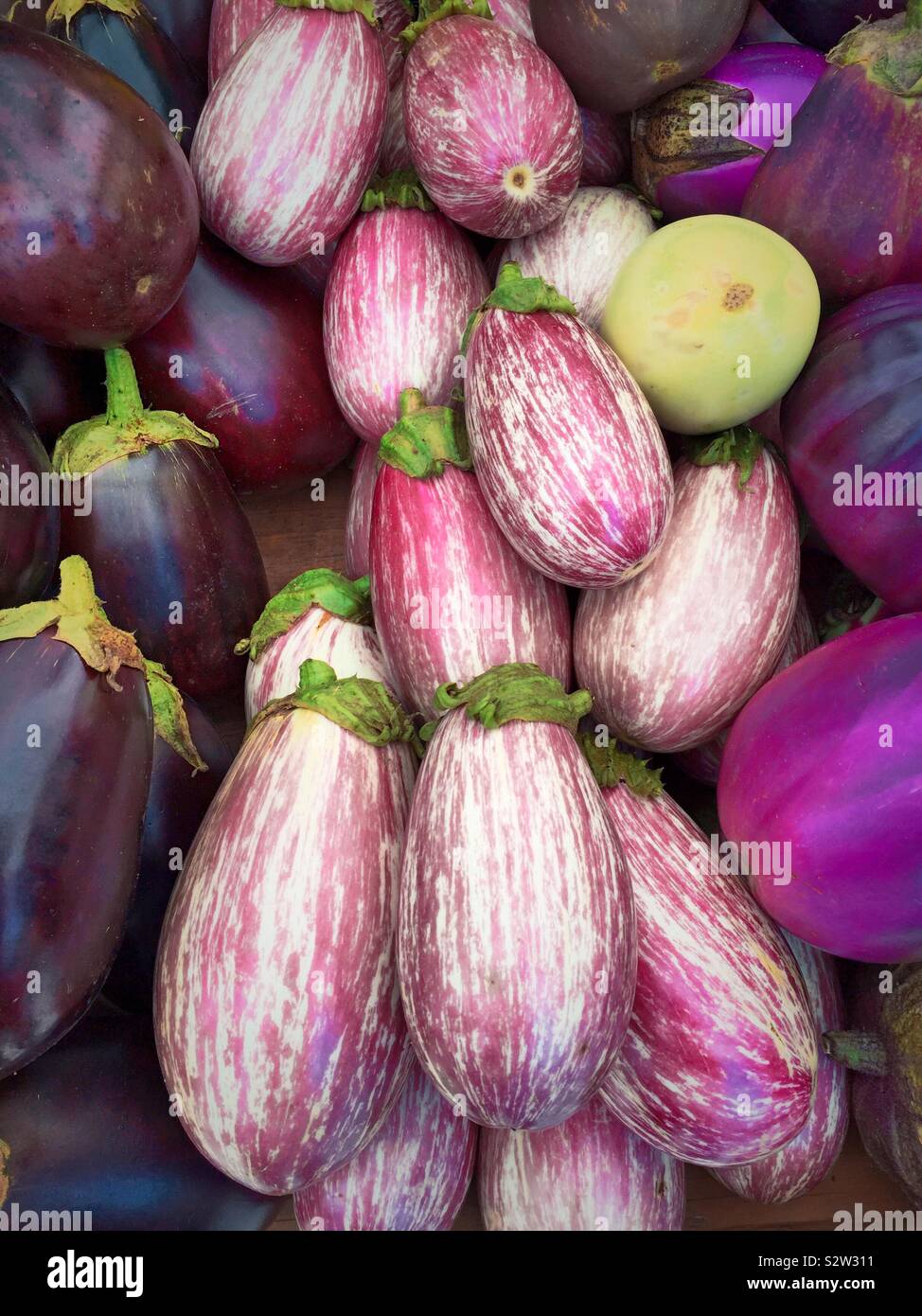 Un display di variopinte melanzane nel produrre corsia di un negozio di alimentari, STATI UNITI D'AMERICA - Immagine stock catturata con smartphone