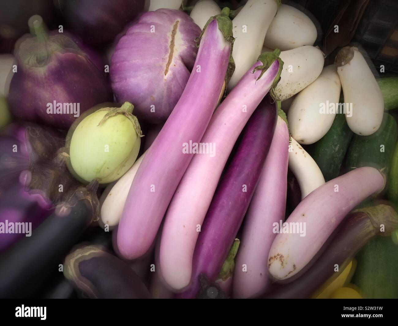 Varie forme, colori e tipi di melanzana nel produrre corsia di un negozio di alimentari - Immagine stock catturata con smartphone