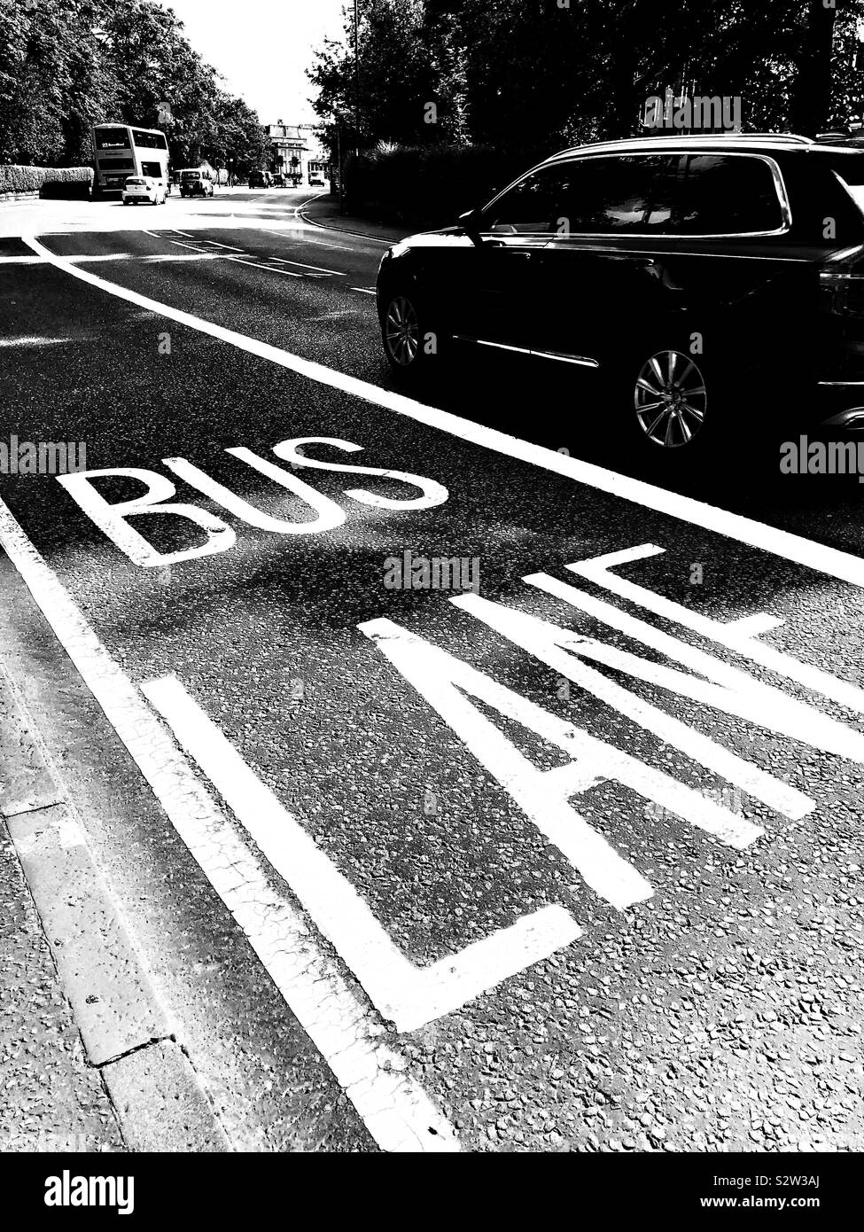 Corsia degli autobus segnaletica orizzontale - Immagine stock catturata con smartphone