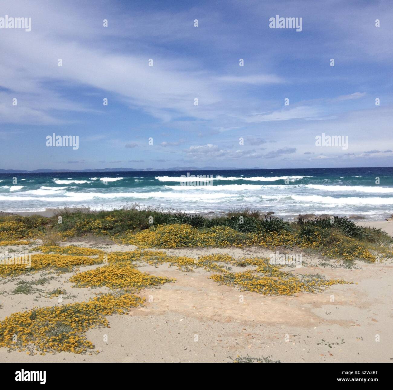 Spiaggia selvaggia con la vegetazione naturale sull'isola di Formentera, Spagna. Foto Stock