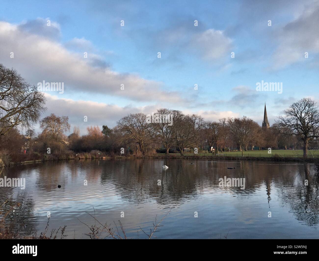 Lago a Clissold park, Stoke Newington, a nord di Londra, Hackney, la Chiesa con la guglia sto sfondo - Immagine stock catturata con smartphone