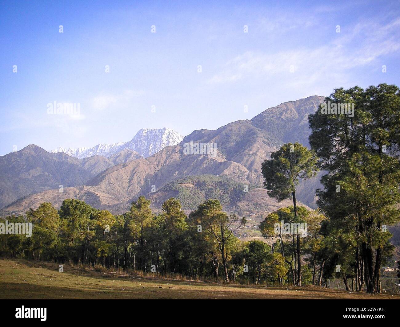 Paesaggio panoramico accanto a una strada di campagna nel Dauladhar montagne della pedemontana Himalayana, vicino a Dharamsala, Himachal Pradesh, India del nord Foto Stock
