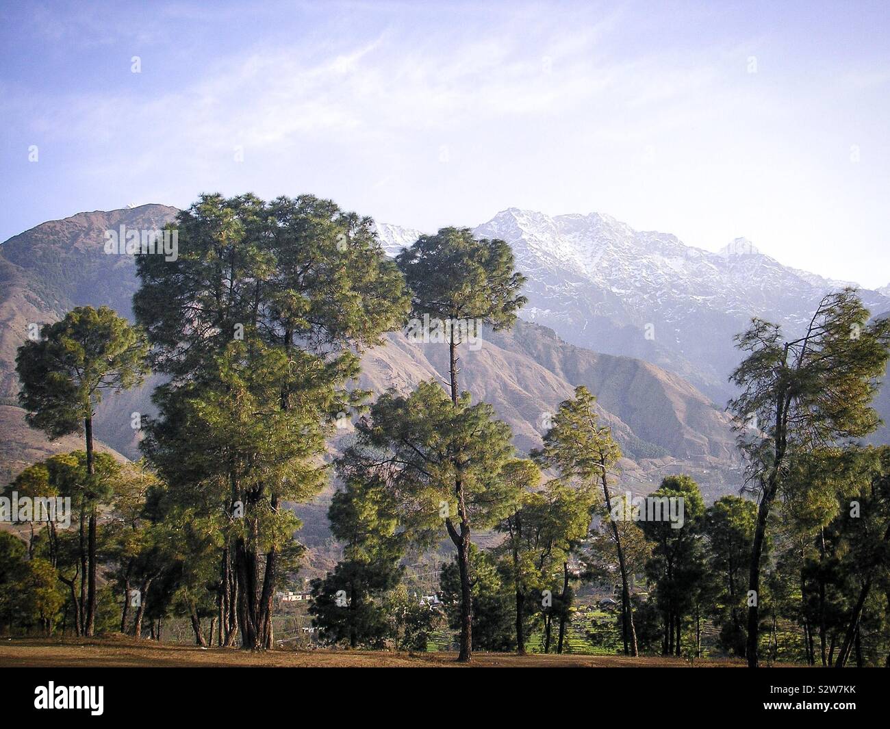 Paesaggio panoramico accanto a una strada di campagna nel Dauladhar montagne della pedemontana Himalayana, vicino a Dharamsala, Himachal Pradesh, India del nord Foto Stock