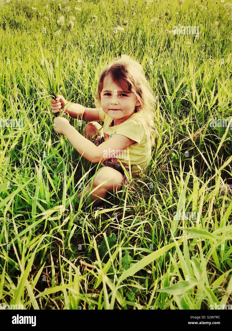 Giovane ragazza seduta in e giocare con erba lunga al tramonto Foto Stock