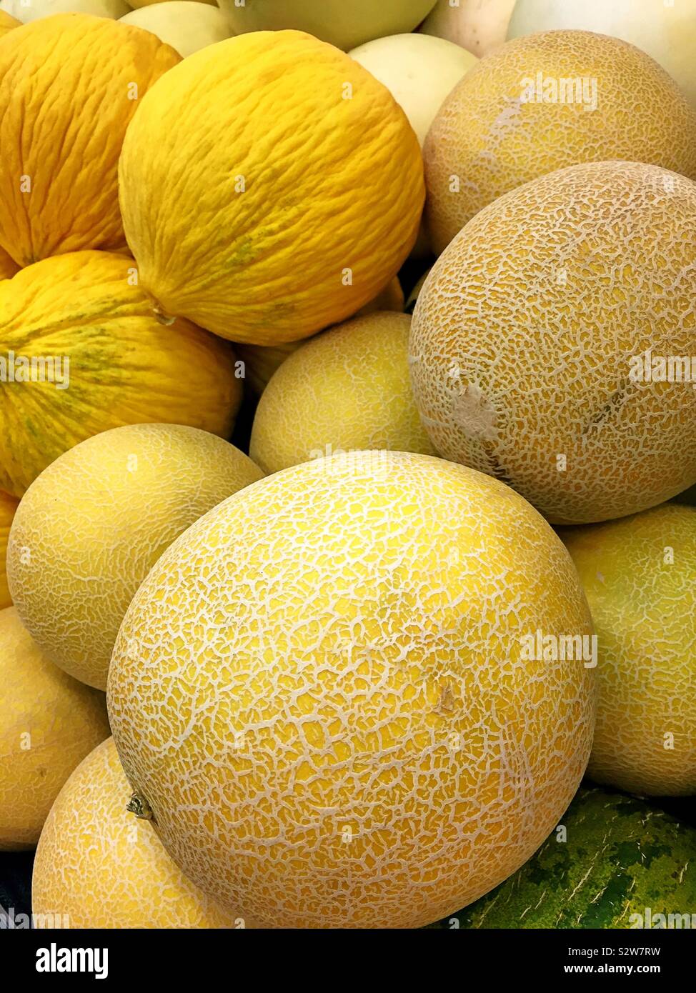 Melata e Canarie meloni per la vendita nel produrre corsia di un negozio di alimentari Foto Stock