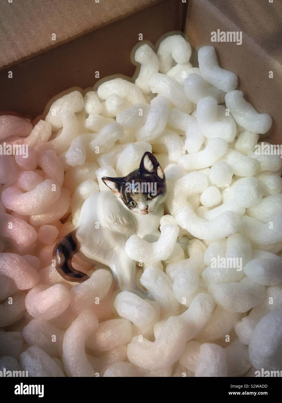 Gatto fragile statuetta in un cartone confezione circondato da noccioline di polistirolo - Immagine stock catturata con smartphone