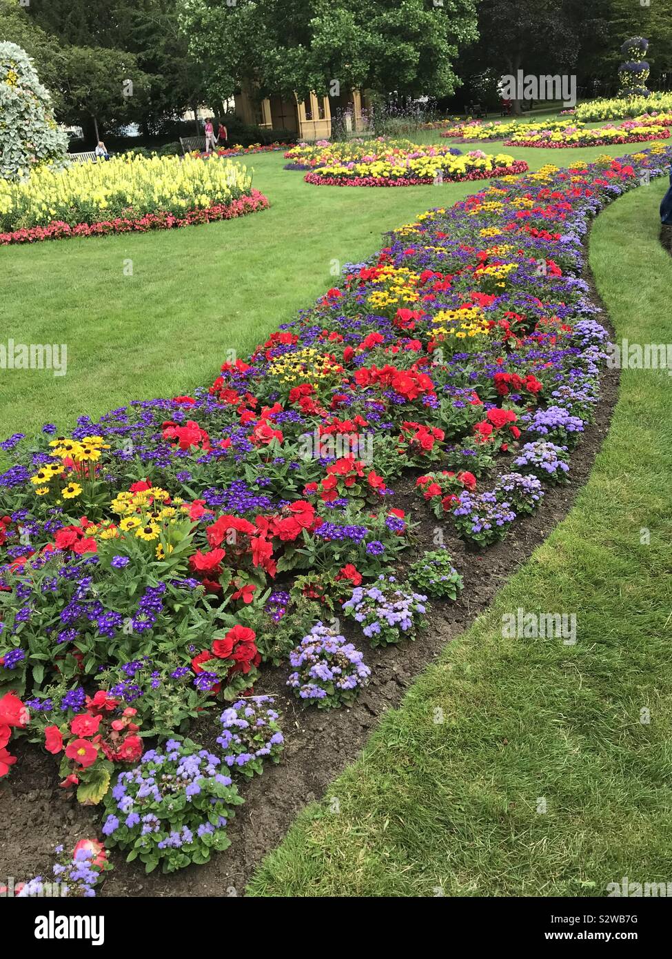 Meravigliose aiuole di fiori Foto Stock