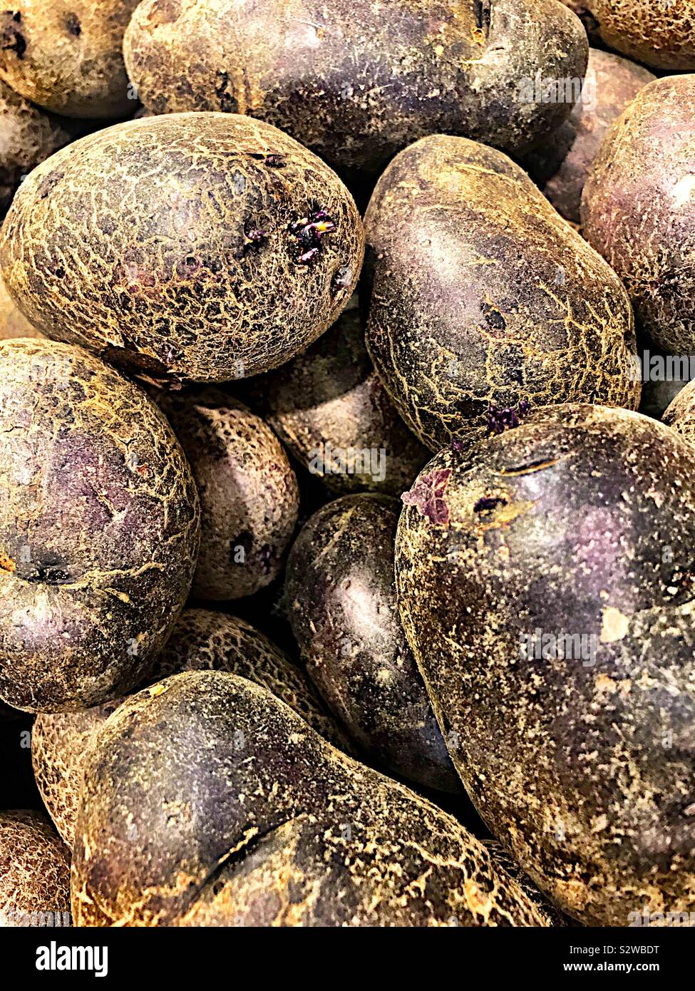 Patate viola Foto Stock