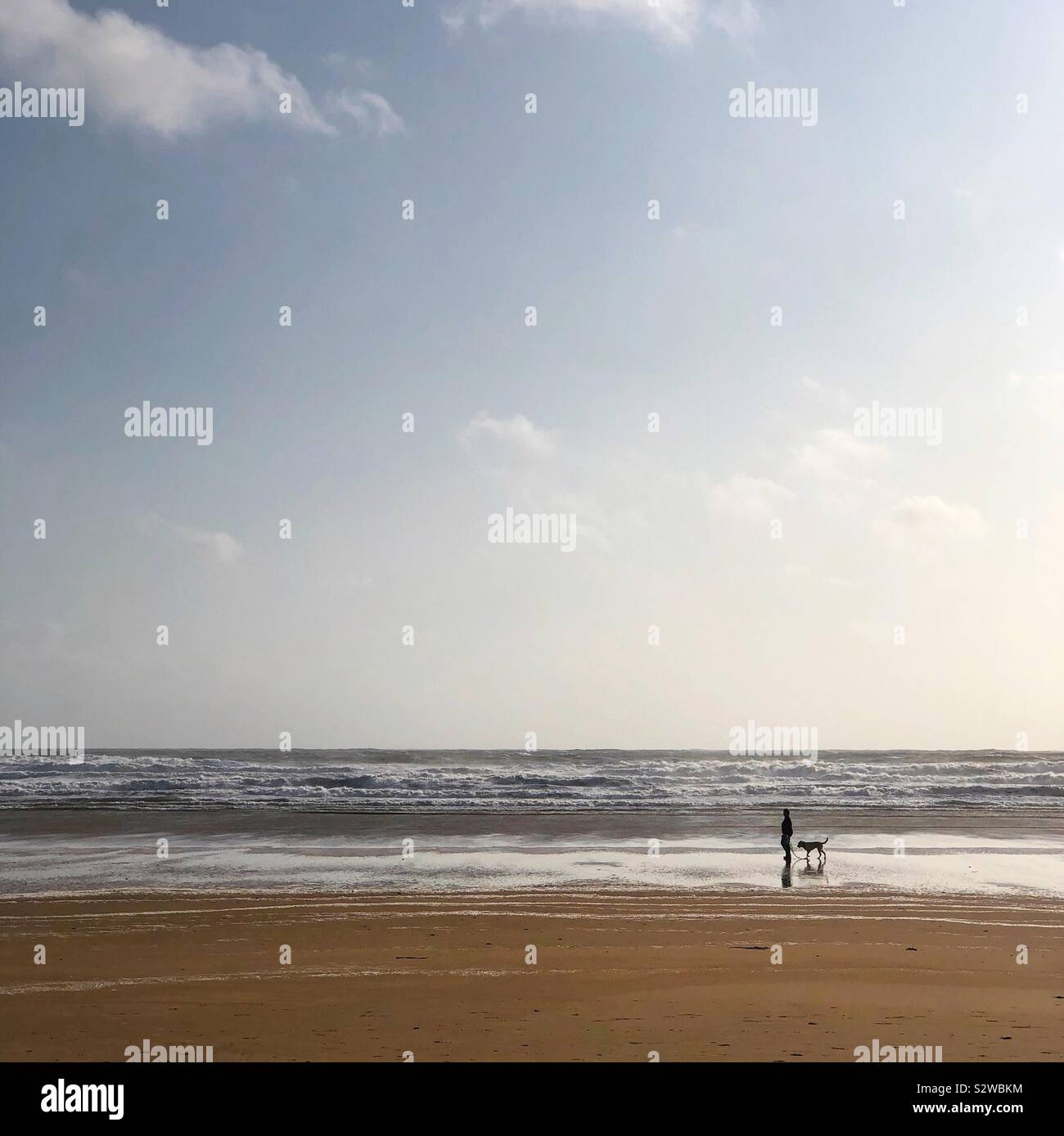 A piedi con il migliore amico dell'uomo sulla spiaggia - Immagine stock catturata con smartphone