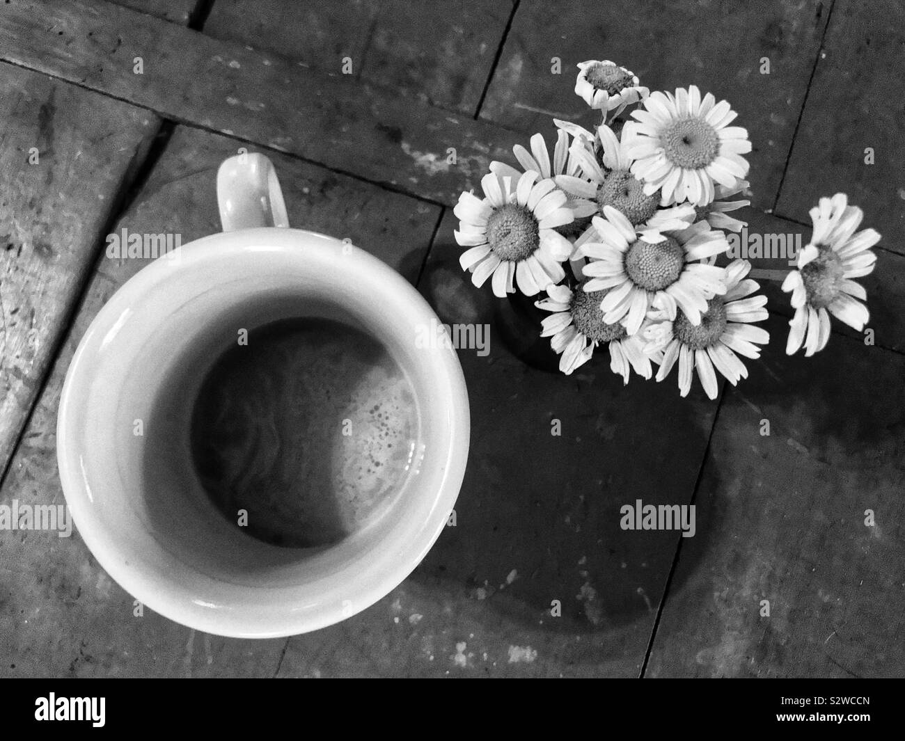 Foto in bianco e nero di una tazza di caffè e un mazzo di margherite in un dipinto di superficie in legno Foto Stock