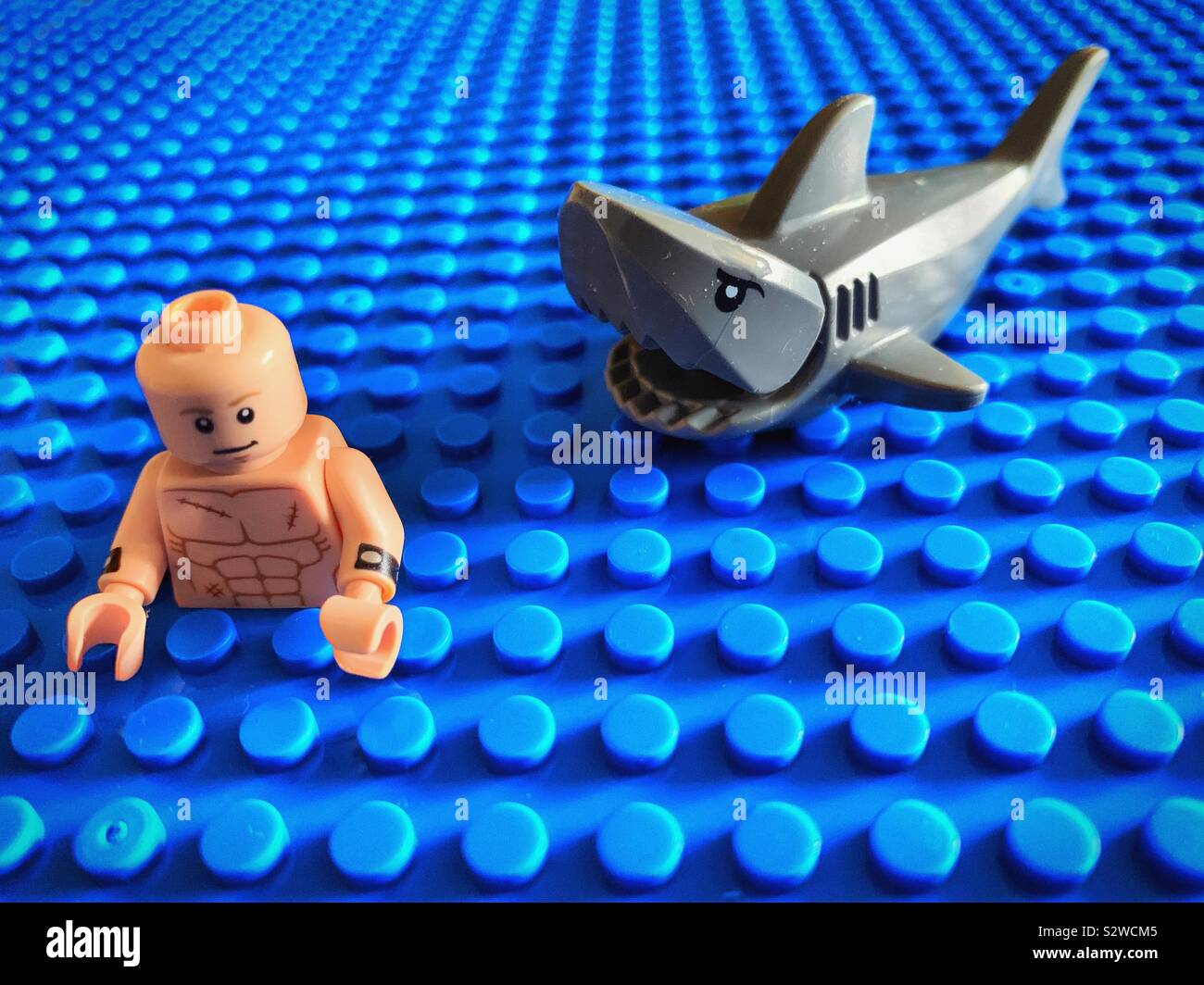 Nuoto in shark acque infestate. Aprire pericoloso nuotare. Mare pericoloso o oceano nuotare. Lego Foto Stock