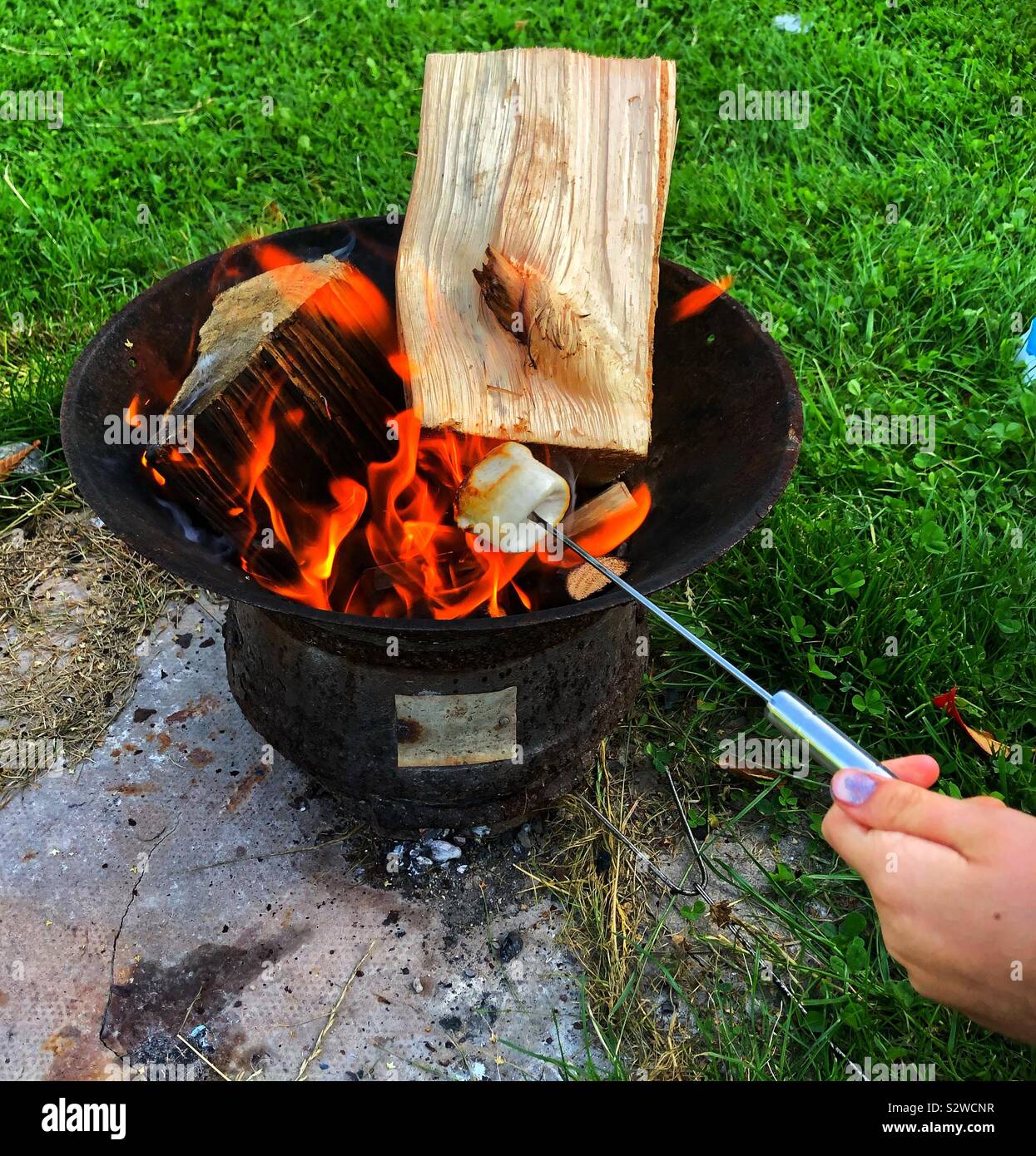 Donna una tostatura marshmallow su un fuoco aperto Foto Stock