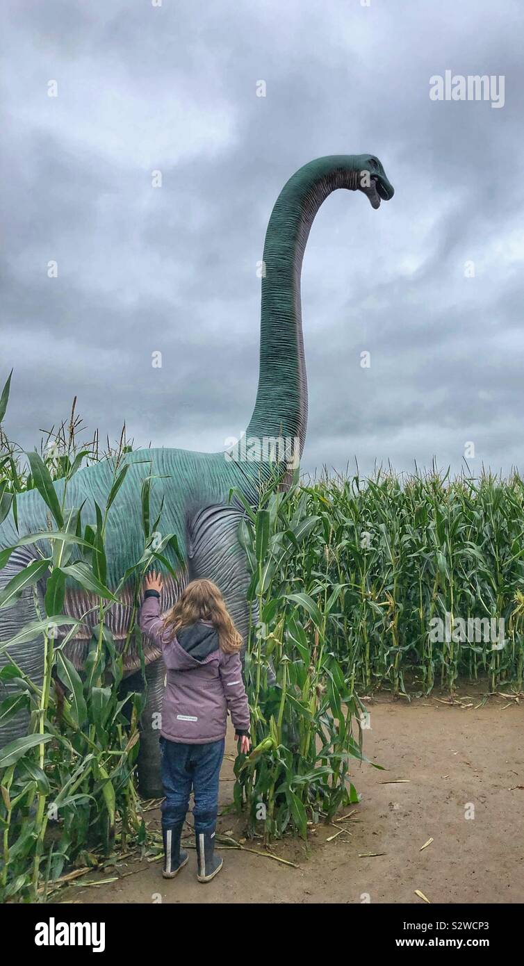 8 anno vecchia ragazza accarezzare un diplodocus dinosaur in York Maze mais nello Yorkshire, Regno Unito Foto Stock