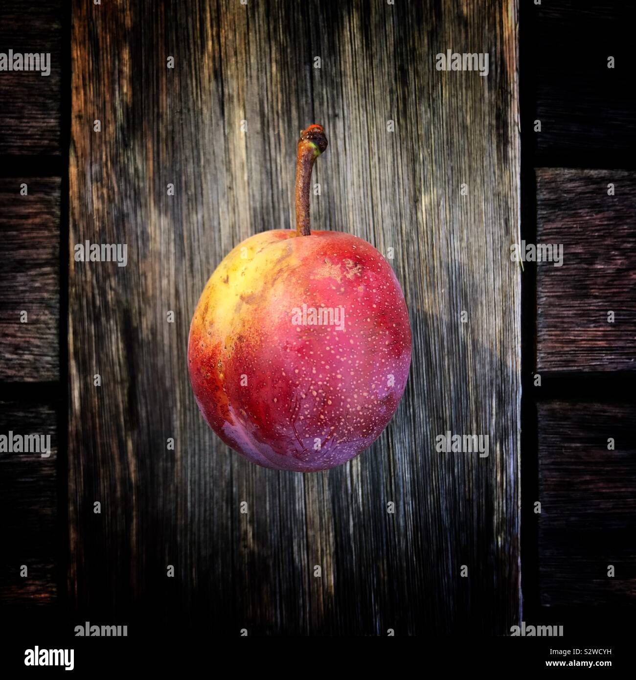 Prugna su un weathered tavolo in legno - Immagine stock catturata con smartphone