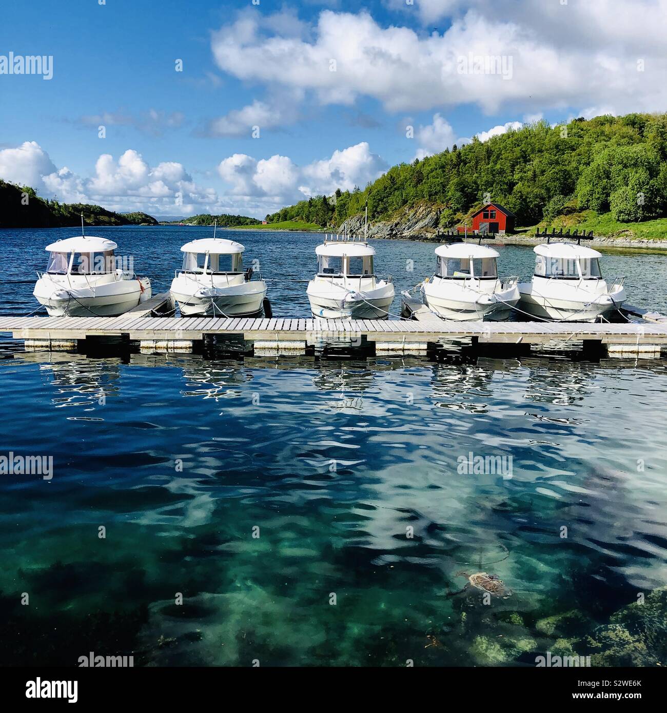 Leka isola marina, Norvegia. Foto Stock