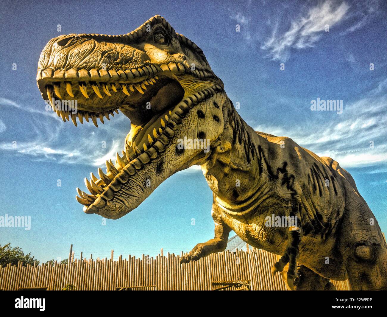 T-Rex al Wingham Wildlife Park - Immagine stock catturata con smartphone