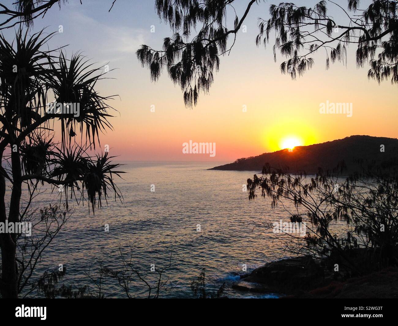 Alba sull'oceano in una foresta tropicale a Noosa National Park, Sunshine Coast, Queensland, Australia Foto Stock