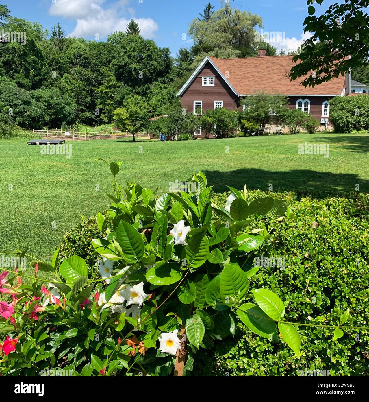 Parco di lilla, Main Street, Lenox, Massachusetts, Stati Uniti. Chiesa sulla collina Cappella in background. Foto Stock