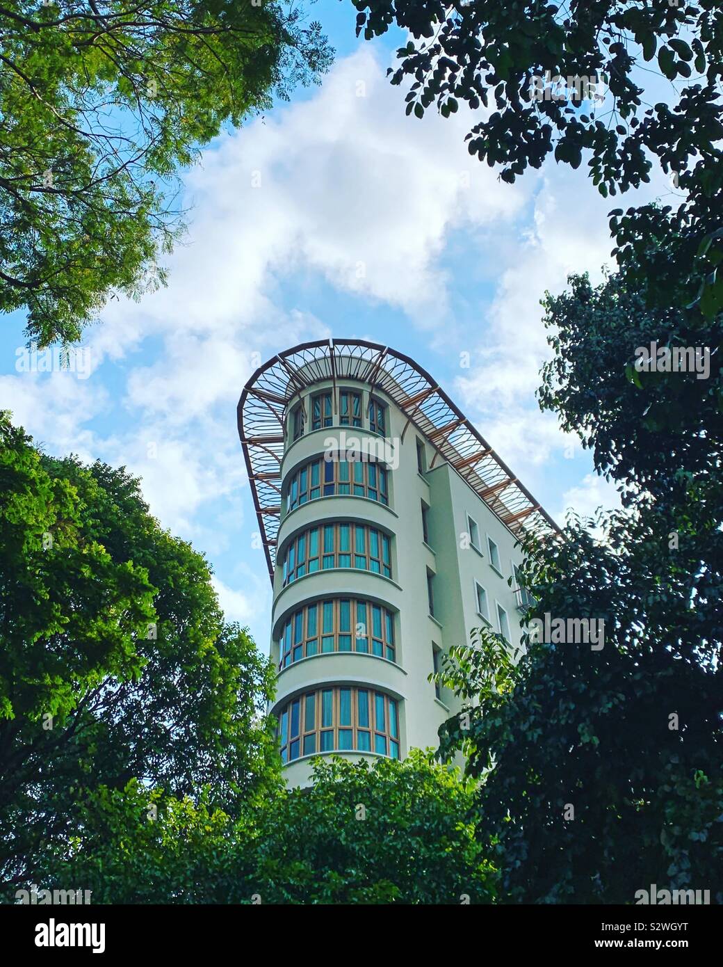 La tettoia di alti alberi urbani telaio condominio in Singapore. Foto Stock