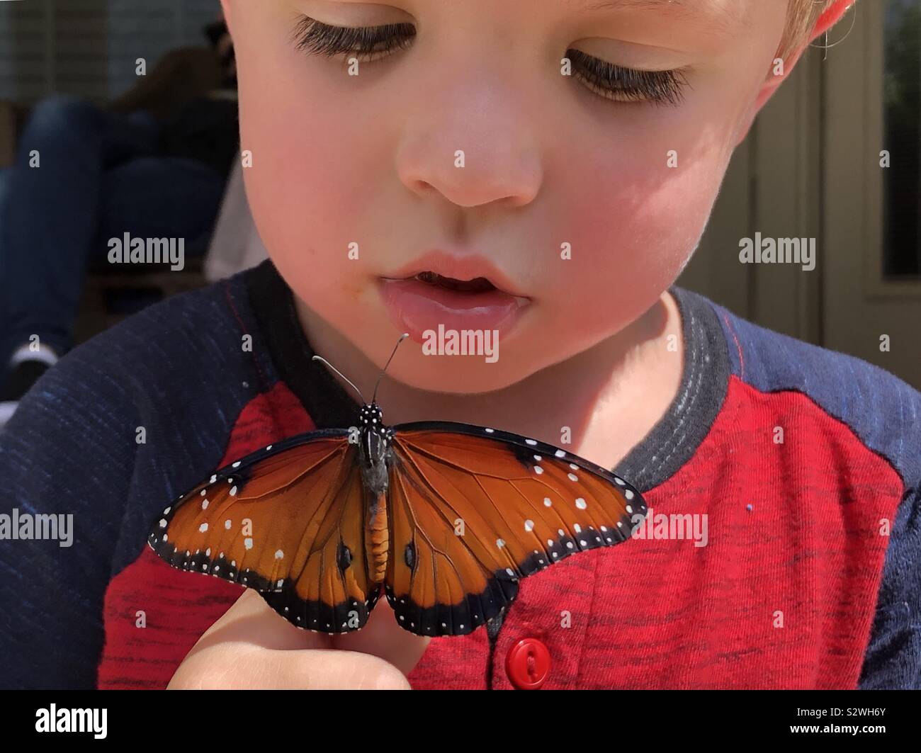 Un ragazzo e la sua farfalla Foto Stock