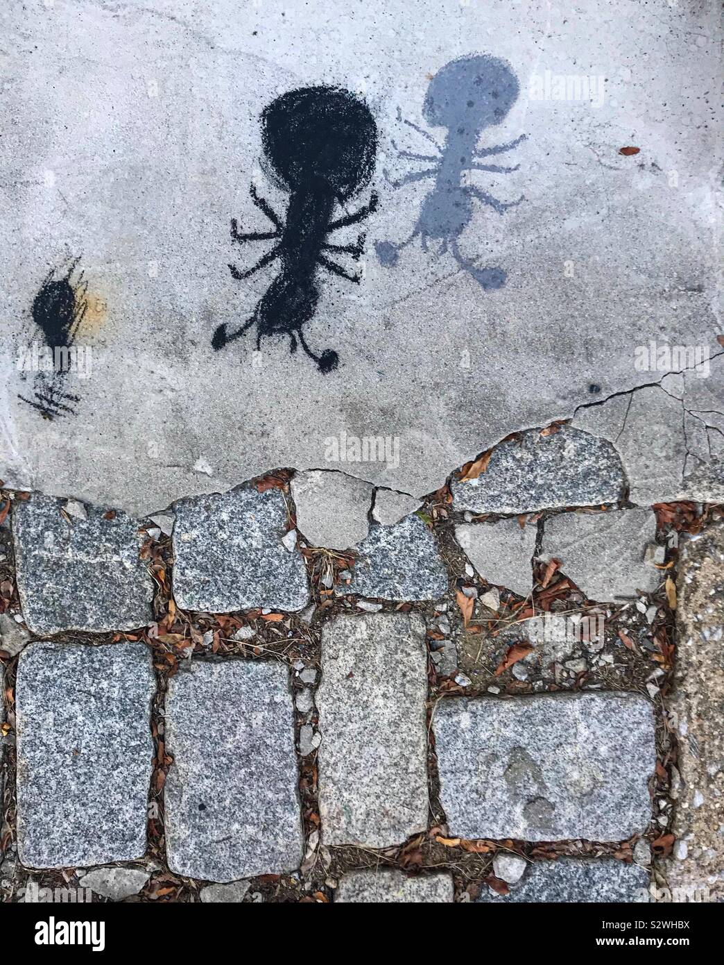 Il marciapiede arte strisciando con le formiche Foto Stock