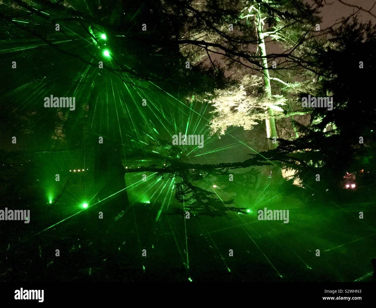 La luce laser display a Kew Gardens, Natale a Kew, 2018, London, Regno Unito Foto Stock