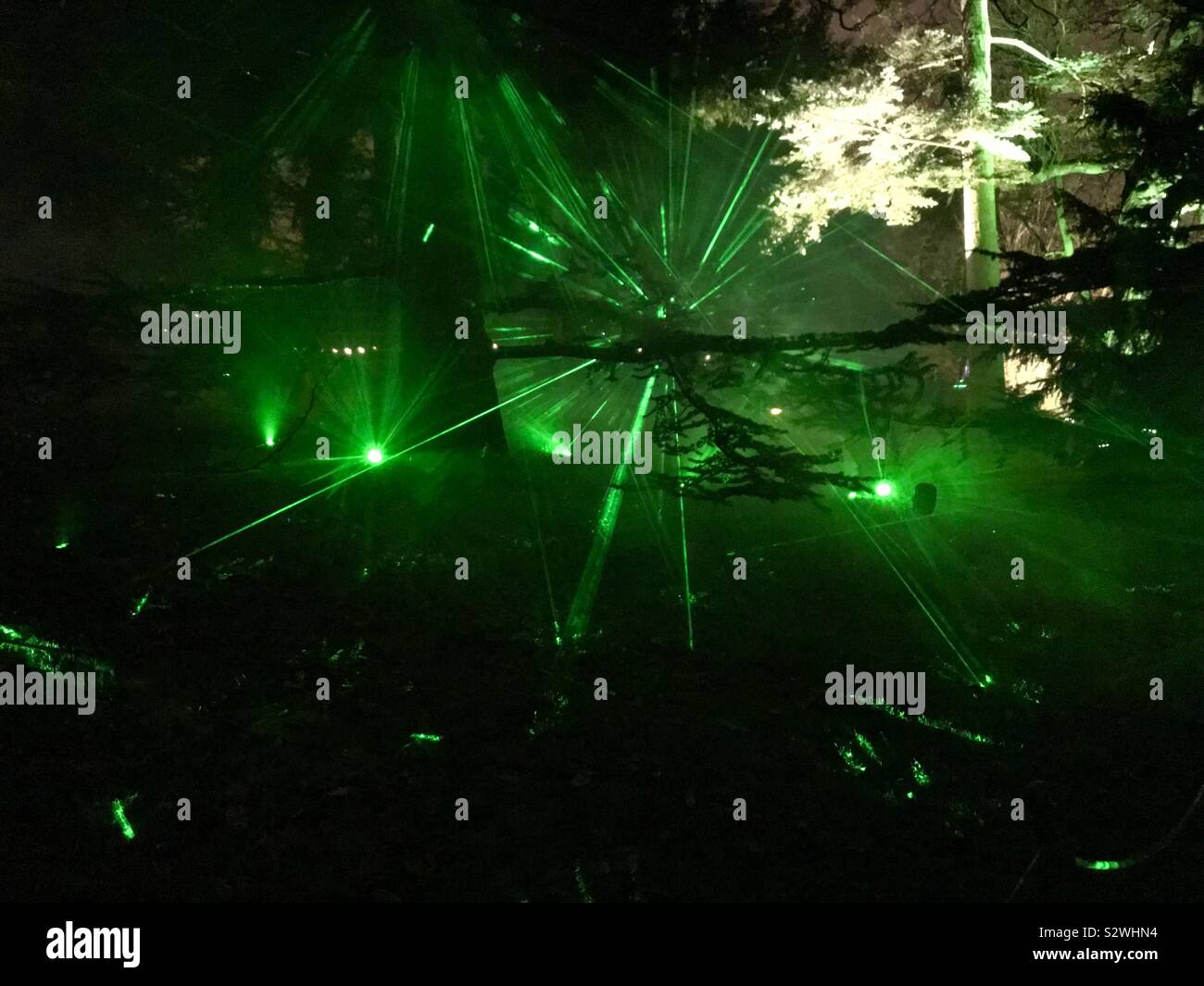 La luce laser display a Kew Gardens, Natale a Kew, 2018, London, Regno Unito Foto Stock