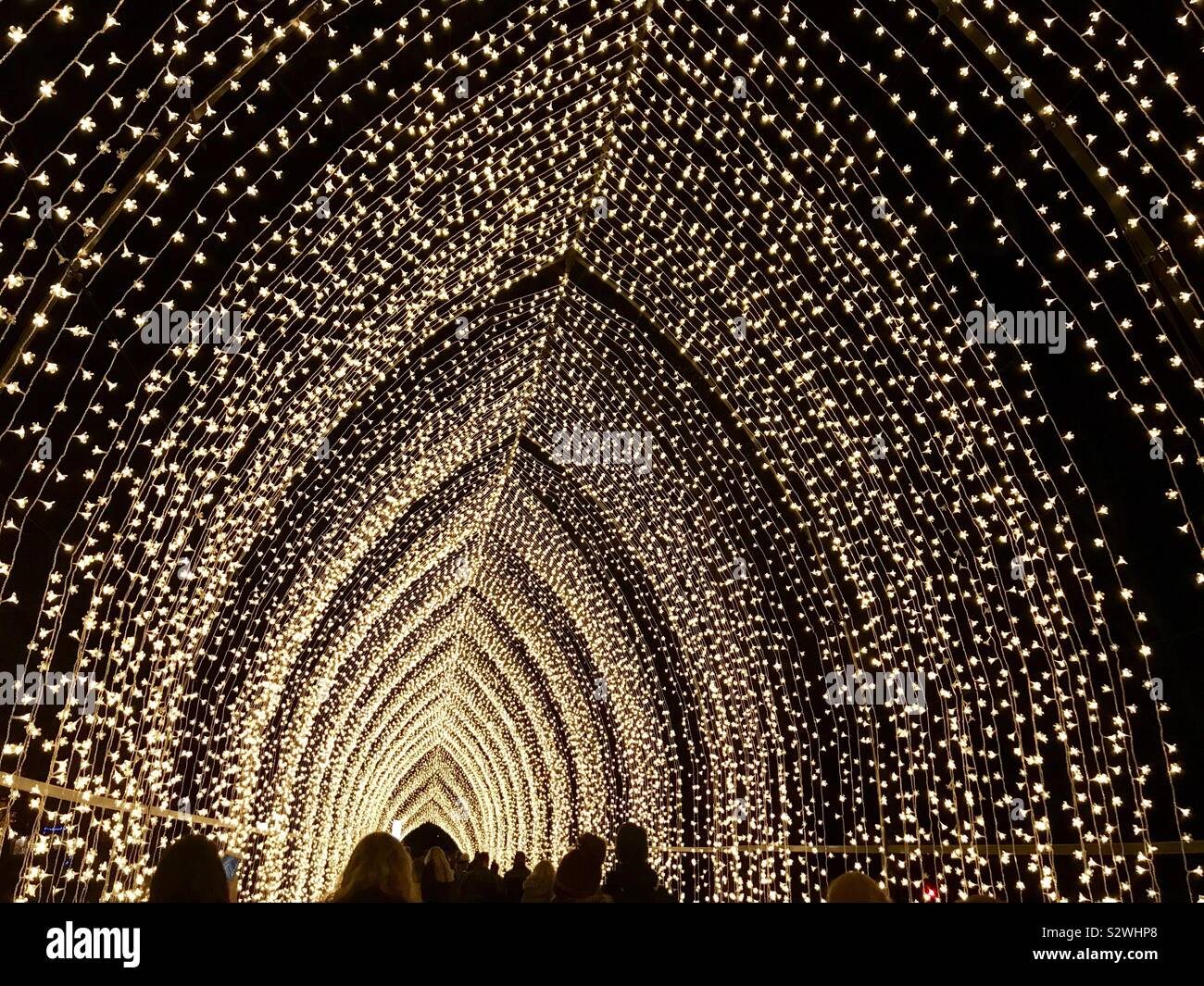 Cattedrale di luce a Kew Gardens Natale a Kew 2018 sentiero illuminato, London, Regno Unito Foto Stock
