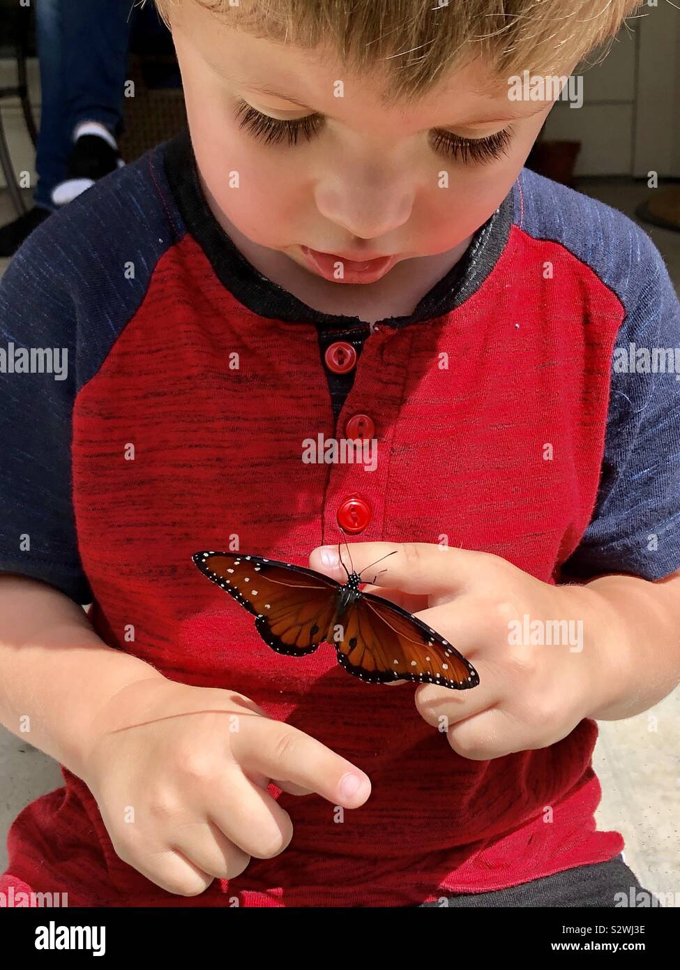 Un piccolo ragazzo con una farfalla sul suo dito Foto Stock