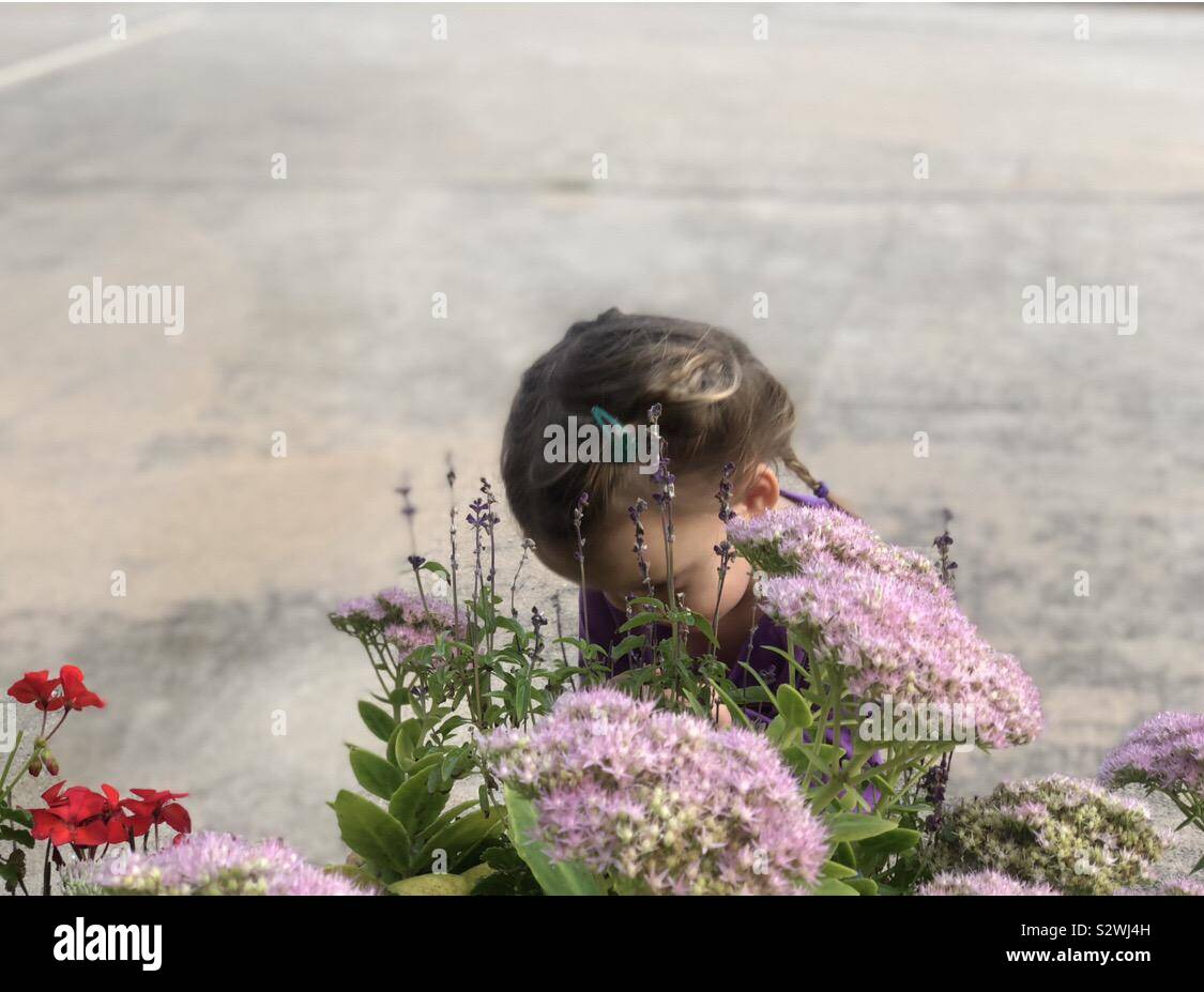 Bambino di fermarsi per l'odore dei fiori Foto Stock