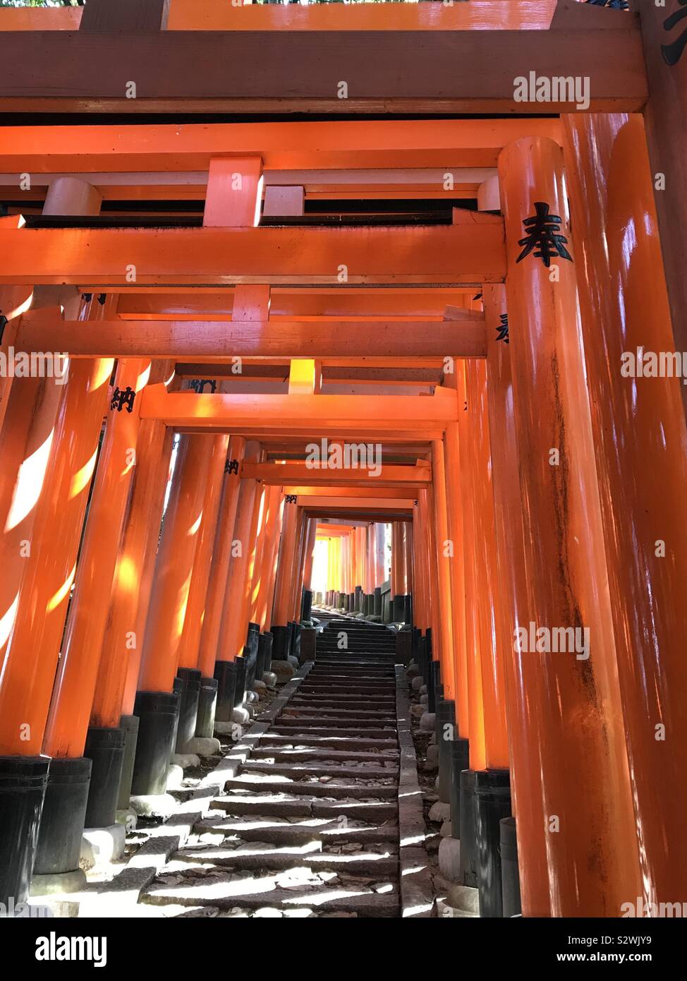 Il red Torii gates di Fushimi Inari Santuario a Kyoto, Giappone Foto Stock
