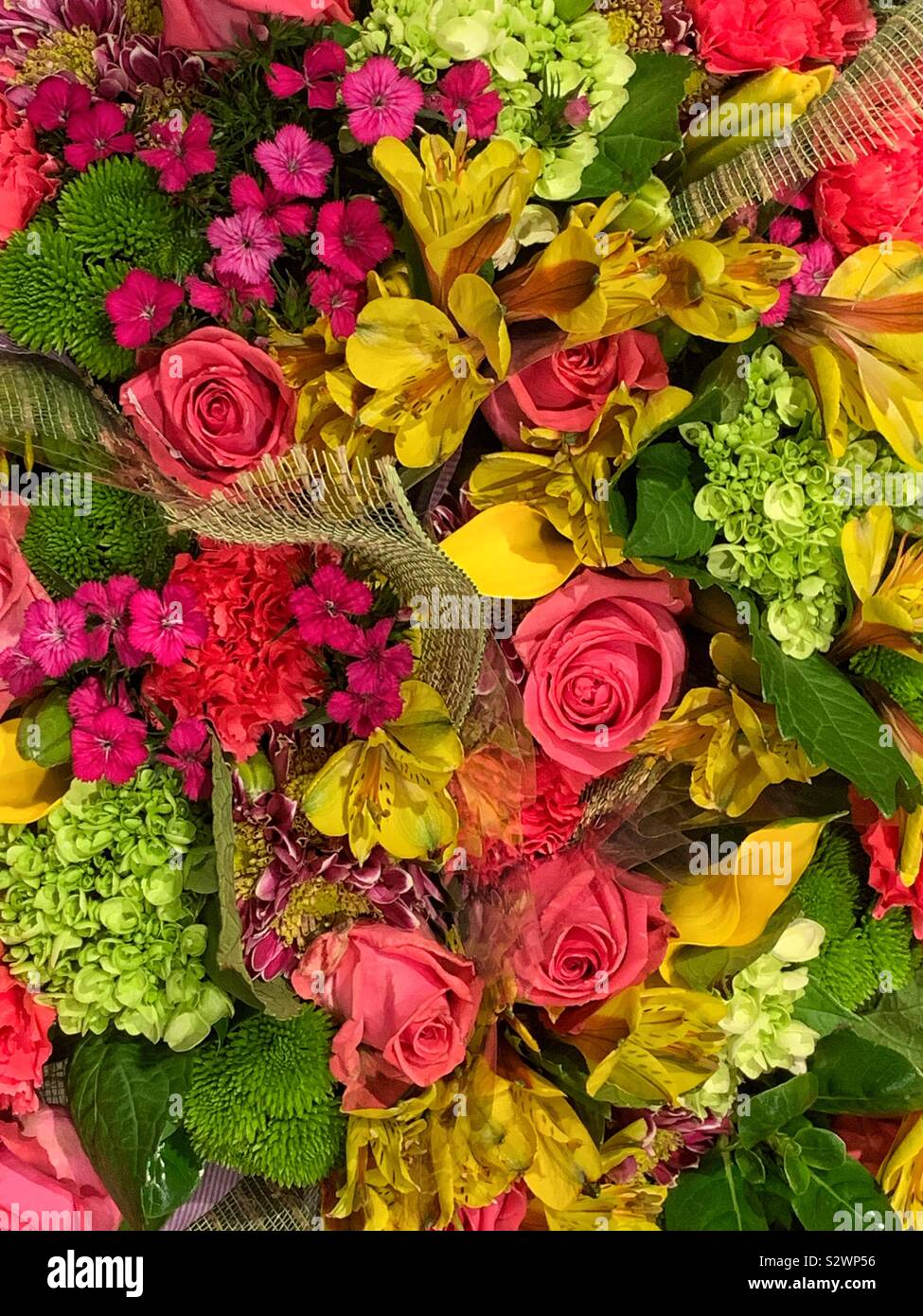 Varietà colorate di freschi fiori estivi comprese le rose rosa, giallo di crochi e garofani rosa. Foto Stock