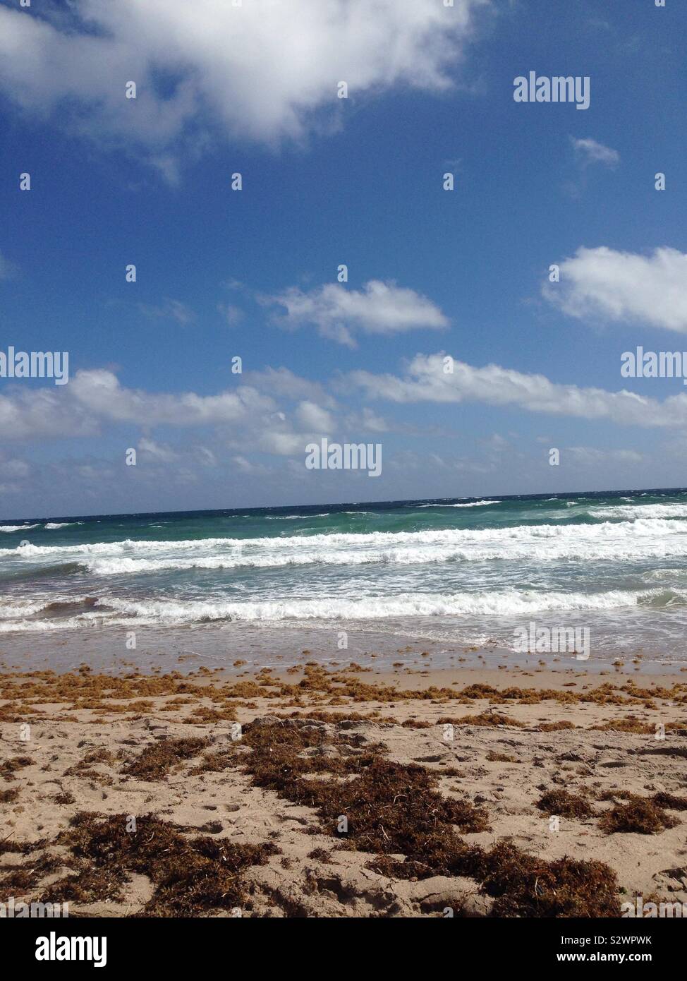 Bella giornata al Delray Beach in Florida. Foto Stock